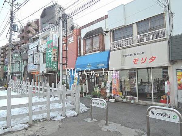 リア世田谷 ｜東京都世田谷区中町4丁目(賃貸マンション2LDK・3階・53.36㎡)の写真 その7