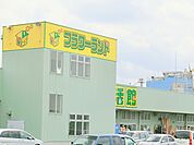 【フラワーランド　海老名店】　名前の通り、花の種類が豊富にありいつも利用しています。また、食品、日用雑貨、園芸用品等がありとても便利です。