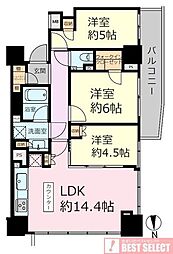 シティタワー大泉学園 3LDKの間取図画像