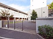練馬区立大泉中学校 徒歩4分 250m