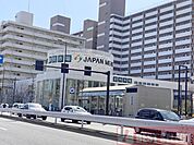 ジャパンミート卸売市場王子店　徒歩15分 1200m