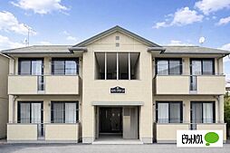 エバーグリーンＢ