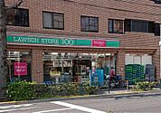 ザ・ダイソー DAISO ローソンストア100野方店（487m）