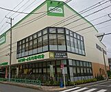 コープ 中野鷺宮店（329m）