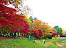 周辺：都立野川公園入口（689m）