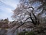 周辺：都立井の頭公園（井の頭公園駅口）（2074m）