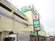 サミット（529m）