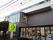 いなげや 武蔵野西久保店（1083m）