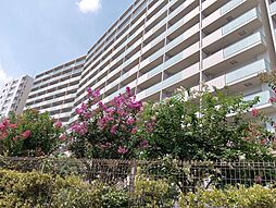 物件画像 アクシア八王子ピュアマークス