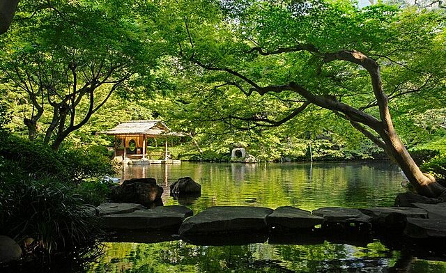 その他 シルバーパレス白金台 5階/-