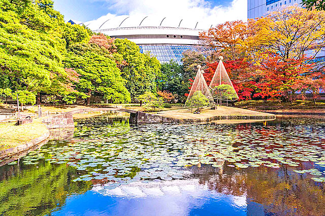 周辺 レジデンシア春日安藤坂 1階/-