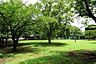 その他：新小岩公園
