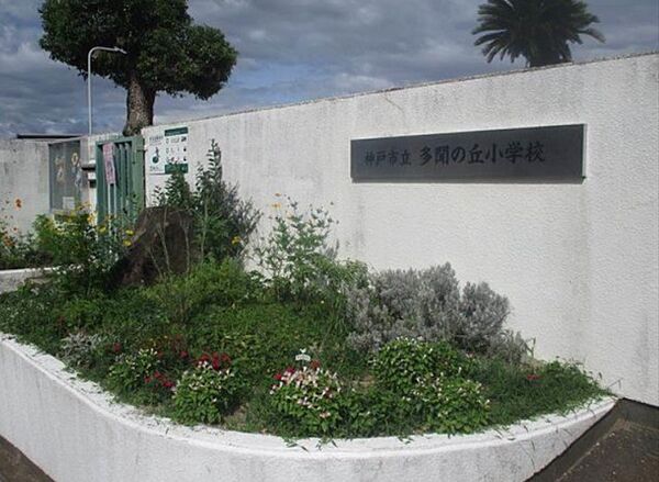 画像15:神戸市立多聞の丘小学校