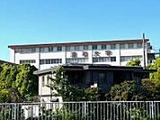 浦和大学