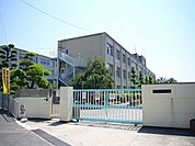 緑丘小学校 678m