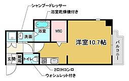 ONLYONEキセラ