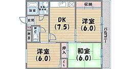 メゾン甲子園口 2階/-