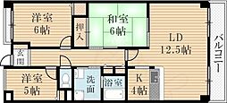 コートラフィーネ