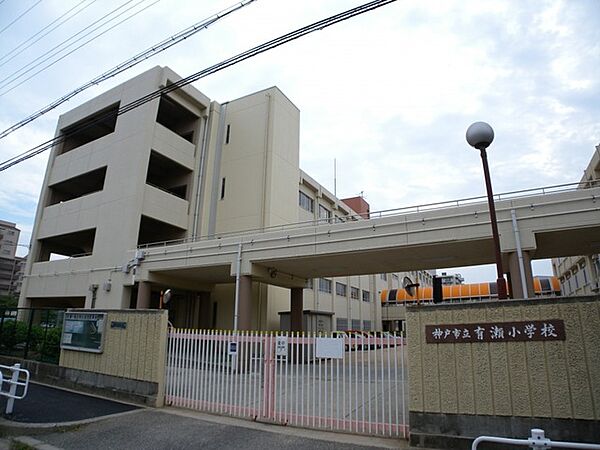 画像21:神戸市立有瀬小学校（949m）