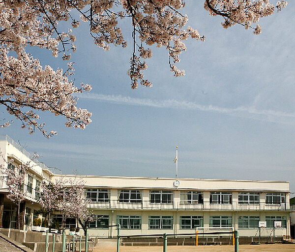 画像16:須磨浦小学校（213m）
