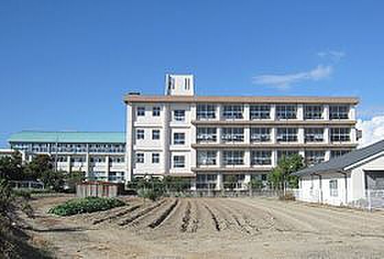 画像19:明石市立藤江小学校（3743m）