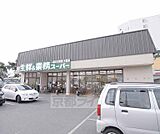 業務スーパー 深草店まで768m 裏にはイズミヤ、横にはコンビニ ここは業務スーパー