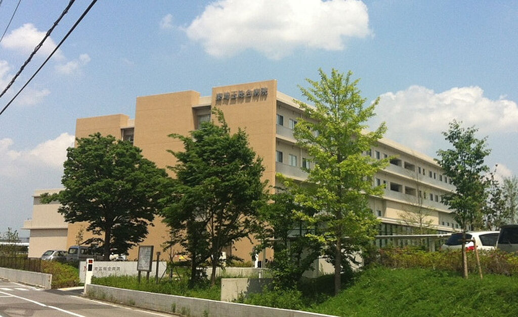 Image 13