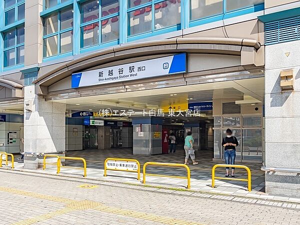 周辺を拡大表示