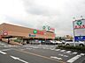 周辺：エコス東浅川店 490m