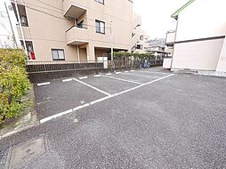 20 / 31