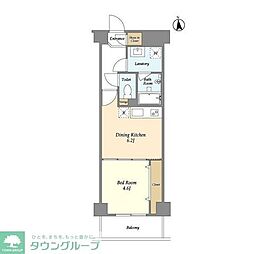 ジニア新宿中落合 地下1階1DKの間取り