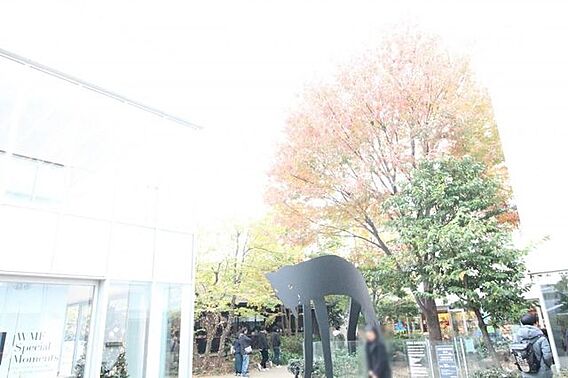 DAIKANY...