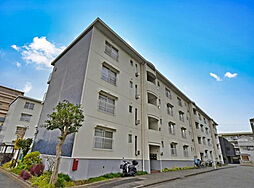 物件画像 コープ船橋Ｂ棟