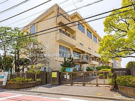 市川市立福栄小学校(890m)