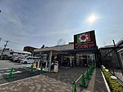 デイリーカナートイズミヤ庄内店 672m