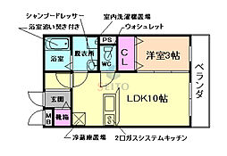 evergreen 1LDKの間取図画像
