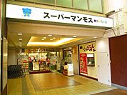 スーパーマンモス 666m
