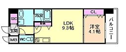 スプランディッドVIII 1LDKの間取図画像