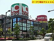 オークワ 644m