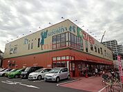コノミヤ茨木店 499m