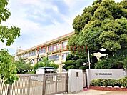 茨木市立春日丘小学校 515m