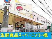 ニッコー 270m