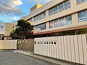 茨木市立庄栄小学校 492m