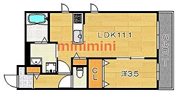 エレガンテパラッツオ 1LDKの間取図画像