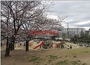 水尾公園 224m
