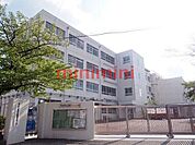 高槻市立高槻小学校 422m