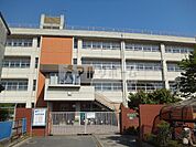 柏原市立玉手中学校(中学校)まで1365m