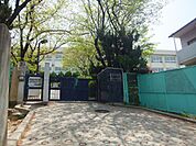 柏原市立国分中学校(中学校)まで260m