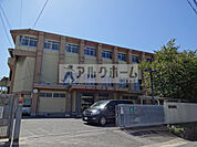柏原市立国分小学校(小学校)まで334m