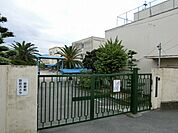 藤井寺市立道明寺東小学校(小学校)まで795m